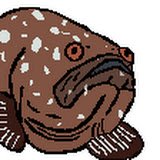 Foto de perfil de Fisher Chuwi